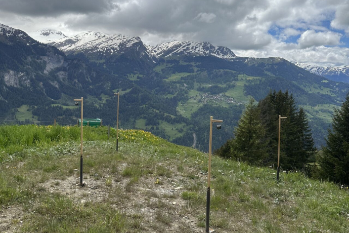 Destinationsbesuch Arosa (Foto: © graubünden Cultura) Destinationsbesuch Arosa