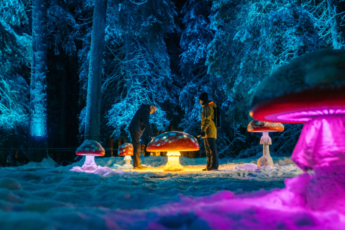 Zauberwald Lenzerheide bulieu fortunà